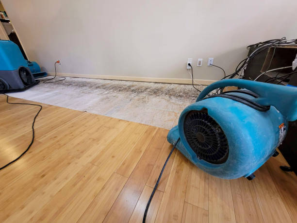 Reliable Basement Flood Cleanup contractor in Bridgewater, VA by Hirex Water Damage