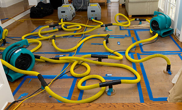 Professional Basement Flood Cleanup technician working in Bridgewater, VA